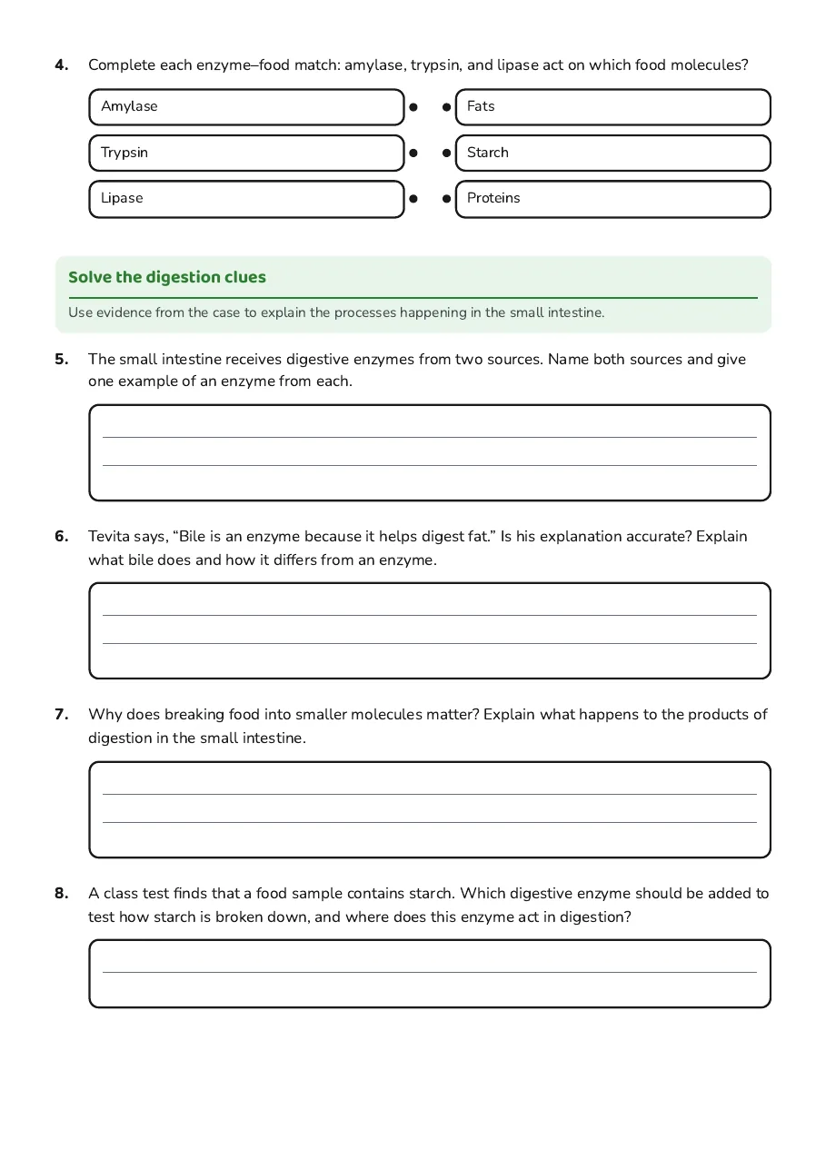 Enzymes in Digestion Worksheet, page 2 of 3: Solve the digestion clues