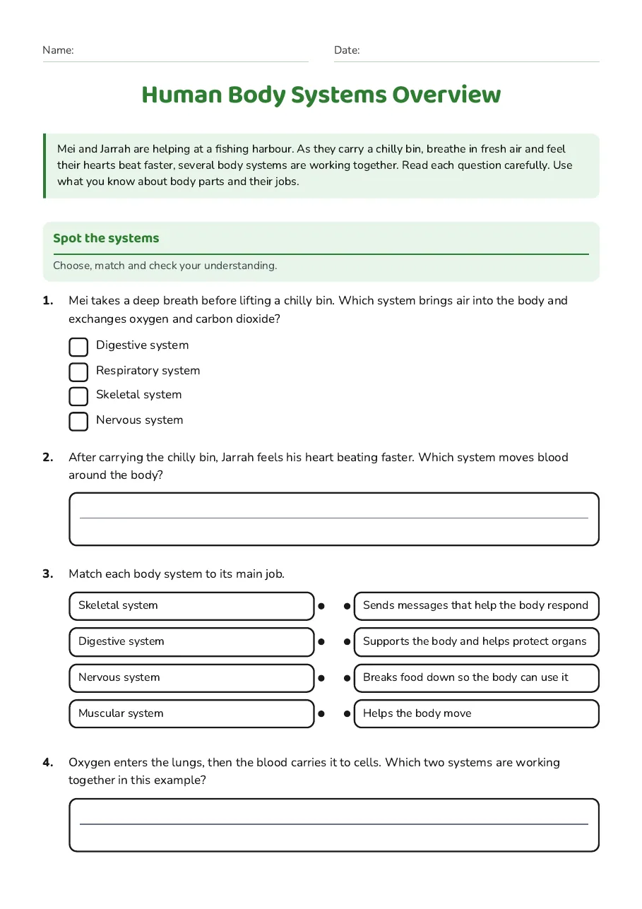 Human Body Systems Overview, page 1 of 2: Spot the systems