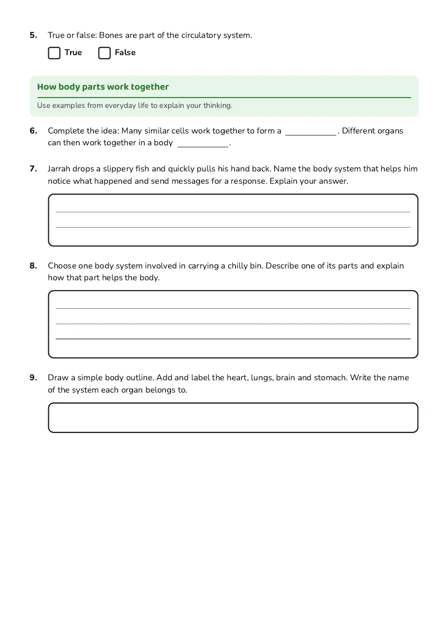 Human Body Systems Overview, page 2 of 2: How body parts work together