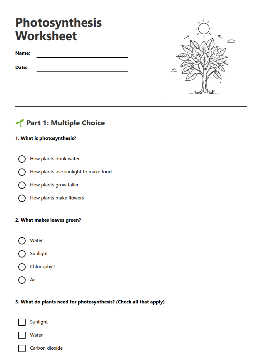 Photosynthesis Worksheet — Free Printable Worksheet for Science | Kuraplan