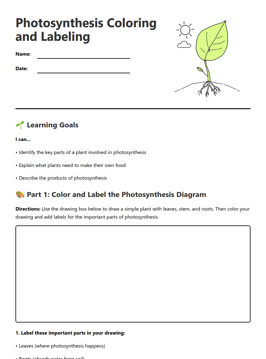 Photosynthesis Coloring and Labeling — Free Printable Worksheet for ...