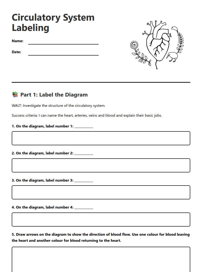 Circulatory System Labeling — Free Printable Worksheet for Science ...