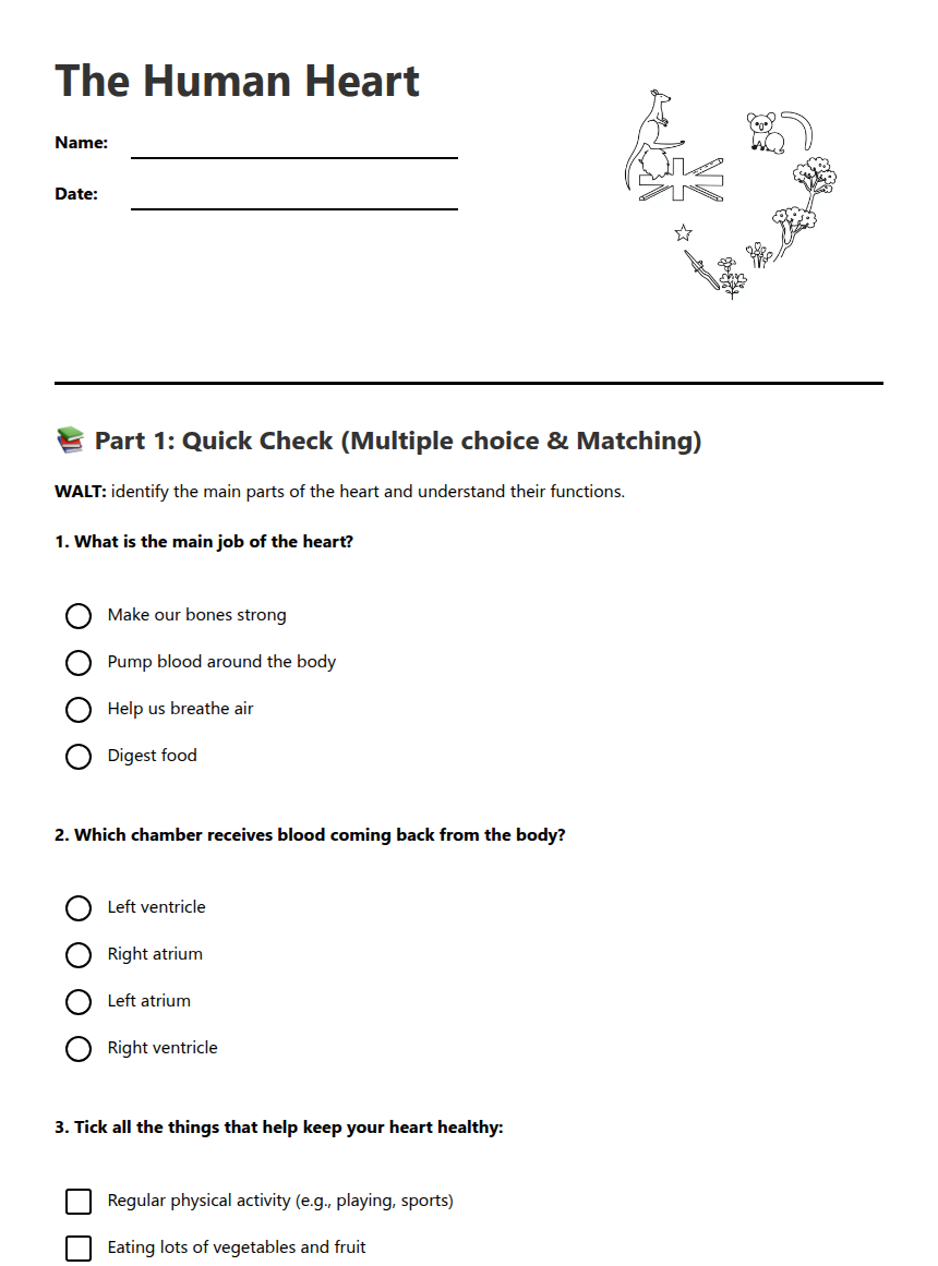 The Human Heart — Free Printable Worksheet for Science | Kuraplan